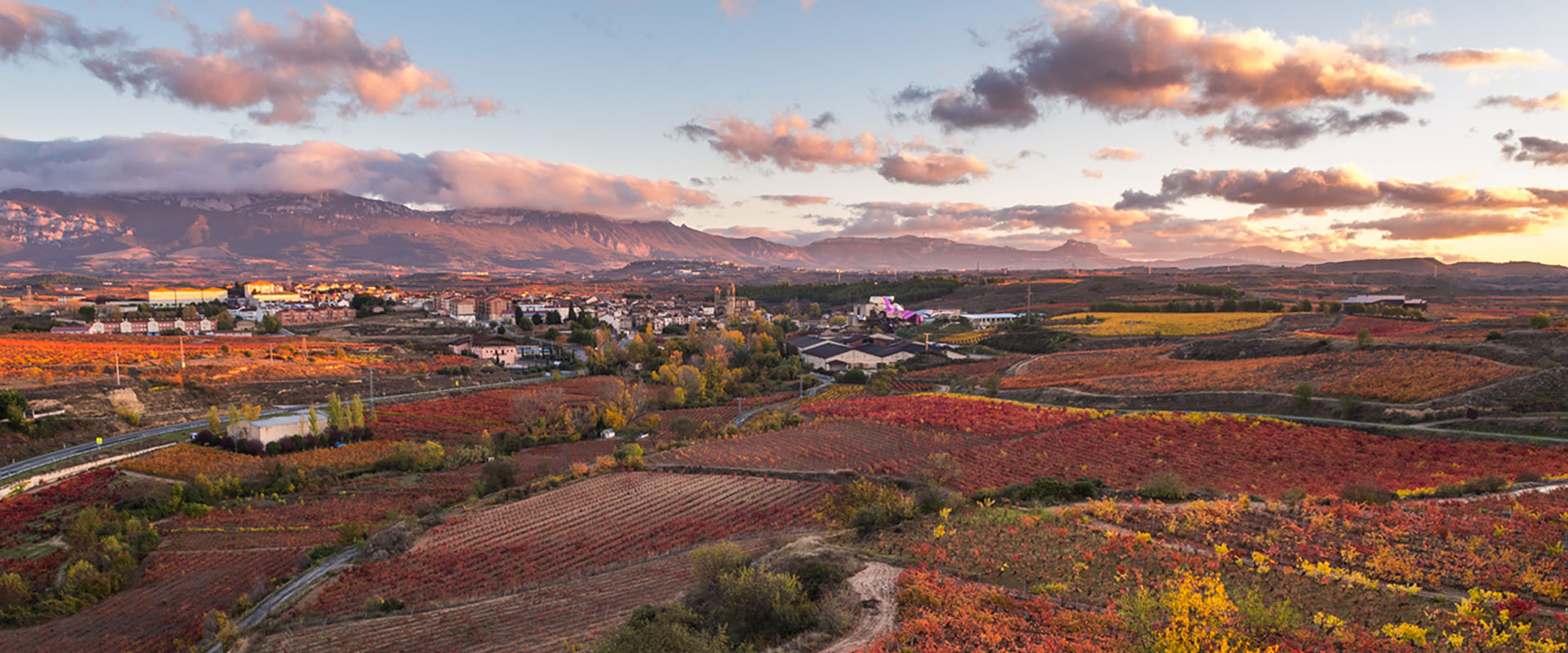 Miradores y vistas de Rioja Alavesa