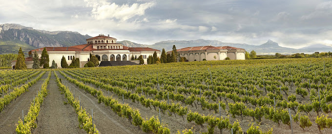 Bodegas Campillo 